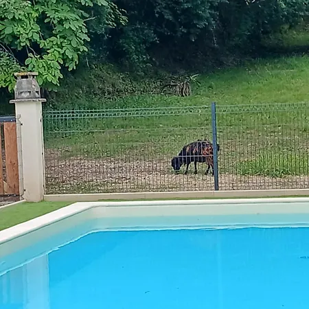 Le Cocon Du Perigord Noir - Piscine Privee-animaux Bienvenus * Saint-Cyprien (Dordogne)